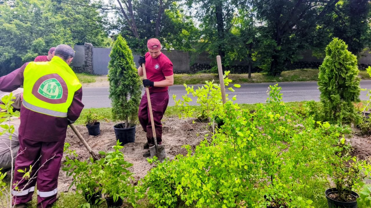 Нові клумби та квітники з’являються у Холодногірському районі міста
